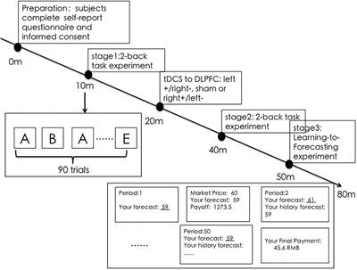 Stimulating the Dorsolateral Prefrontal Cortex Decreases the Asset Bubble: A tDCS Study